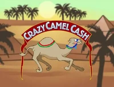 Play Crazy Camel Cash