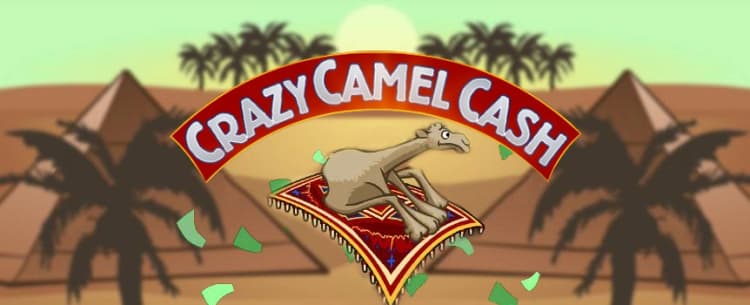 Play Crazy Camel Cash