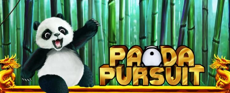 Panda Pursuit