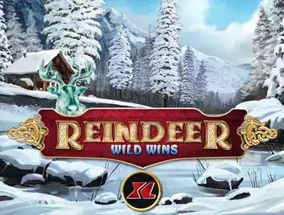 Reindeer Wild Wins XL