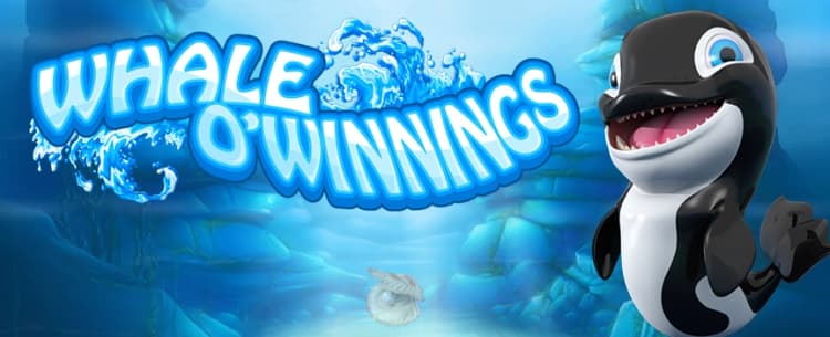 Whale O' winnings
