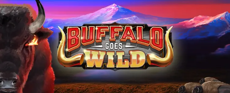 Buffalo Goes Wild 